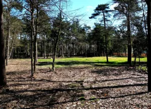 Bouwgrond Hondsbergselaan