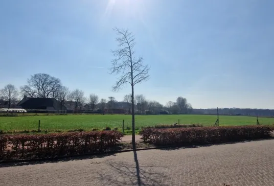 Bouwgrond Roosendaalsebaan