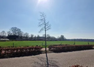 Bouwgrond Roosendaalsebaan