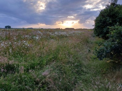 Bouwgrond Zuidwending