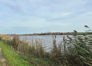 Bouwgrond aan de Amsteldijk Zuid  B)