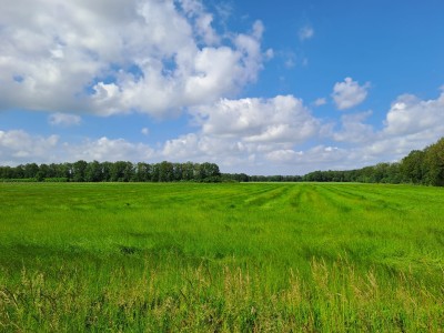 Bouwgrond Steenwijkerweg 134