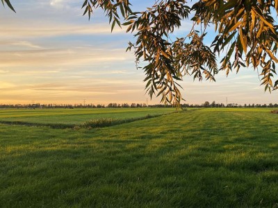 Bouwgrond Noordzijde