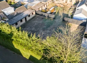 Bouwgrond Korenbloem