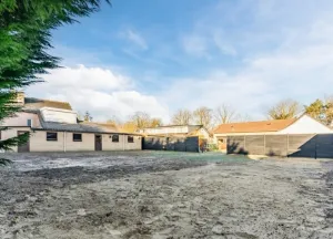 Bouwgrond Korenbloem