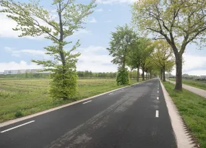 Bouwgrond Sevenumseweg
