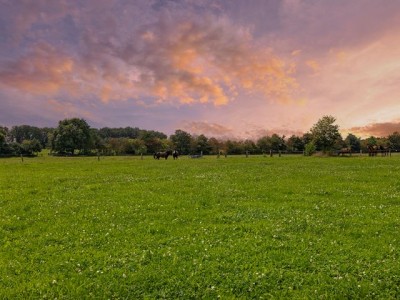 Bouwgrond Ommerweg