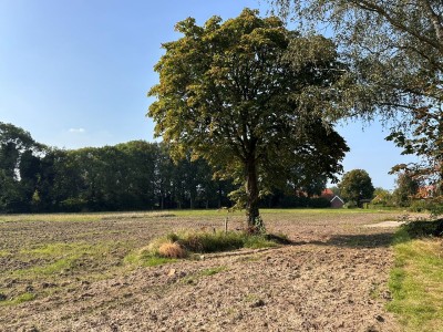 Bouwgrond Brinkweg