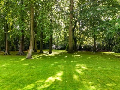 Bouwgrond Groen van Prinstererlaan kavel 1 en 2