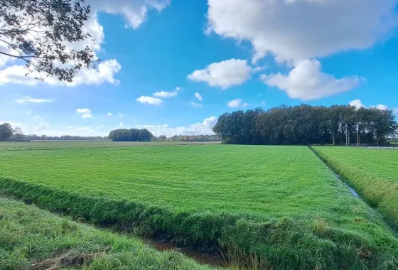 Bouwgrond Boksheidsedijk