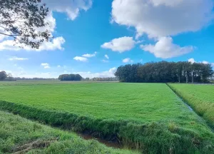 Bouwgrond Boksheidsedijk