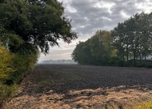 Bouwgrond Scheidingsweg