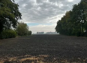 Bouwgrond Scheidingsweg