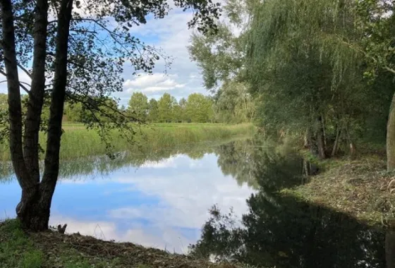 Bouwgrond Vanenburgerallee