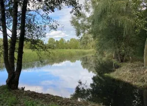 Bouwgrond Vanenburgerallee