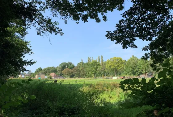 Bouwgrond Domein Grijzegrubben 2A t/m 2 D
