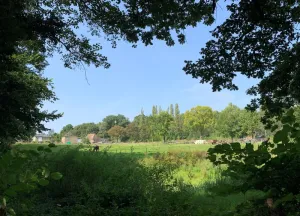 Bouwgrond Domein Grijzegrubben 2A t/m 2 D