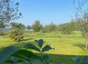 Bouwgrond Hoeksekade 115