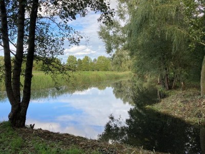 Bouwgrond Vanenburgerallee