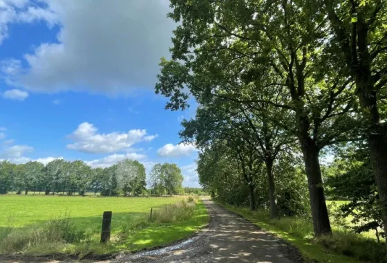 Bouwgrond Tuunterweg