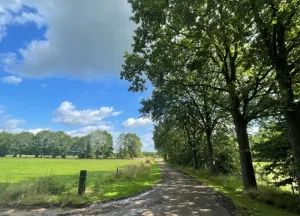 Bouwgrond Tuunterweg