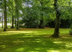 Bouwgrond Groen van Prinstererlaan kavel 1 en 2