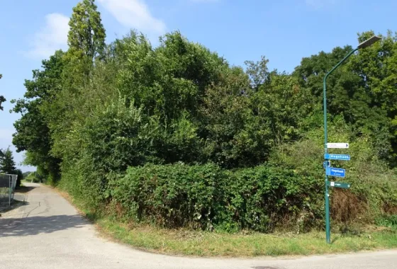 Bouwgrond Hogehoek