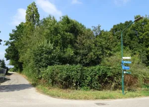 Bouwgrond Hogehoek