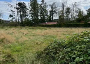 Bouwgrond Langereijt
