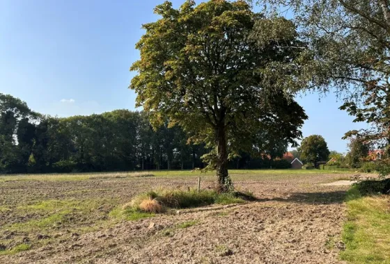 Bouwgrond Brinkweg
