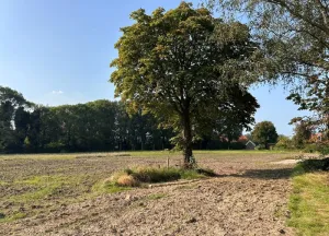 Bouwgrond Brinkweg