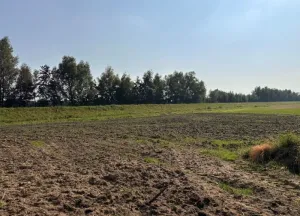Bouwgrond Brinkweg