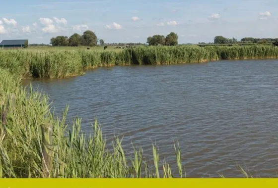 Plan Ludinga Harlingen - Wonen aan het water