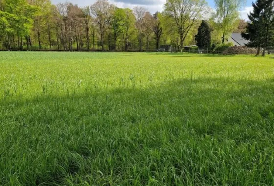 Bouwgrond