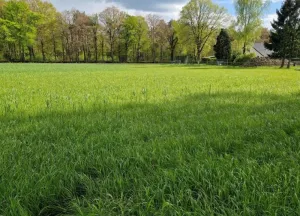 Bouwgrond