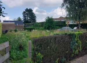Bouwgrond Kerkwegje
