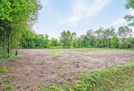 Bouwgrond Graspeel