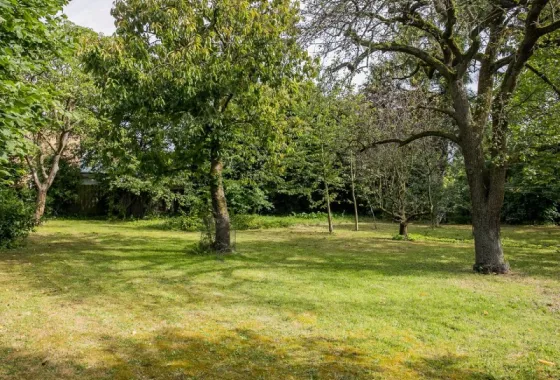 Bouwgrond Prins Bernhardlaan