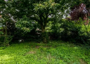 Bouwgrond Prins Bernhardlaan