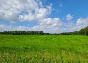 Bouwgrond Steenwijkerweg 134