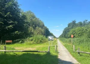 Bouwgrond Hamdijk