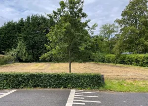 Bouwgrond Notel