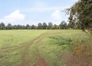 Bouwgrond Brandbeemdseweg bouwkavel 3