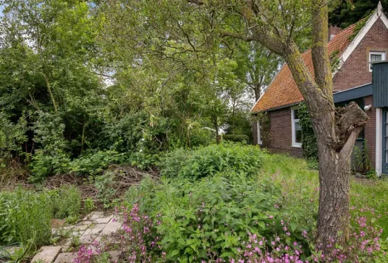 Bouwgrond IJweg 1456