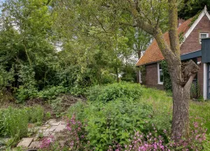 Bouwgrond IJweg 1456