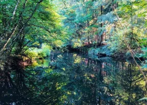 Bouwgrond Hondsbergselaan 7