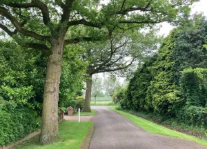Bouwgrond Geurinkstraat 1 B