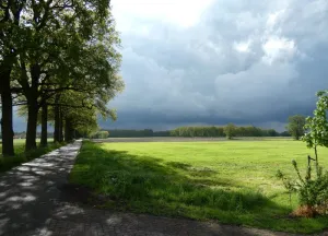 Bouwgrond Koninksweg