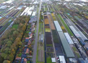 Bouwgrond Goudse Rijweg