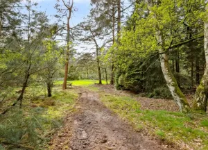 Bouwgrond Bovenhaarweg 1 a